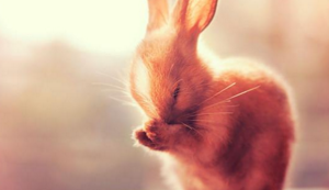 燃气灶维修好评评语优缺点总结,燃气灶修理费用表